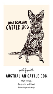 Australian Cattle Dog Print